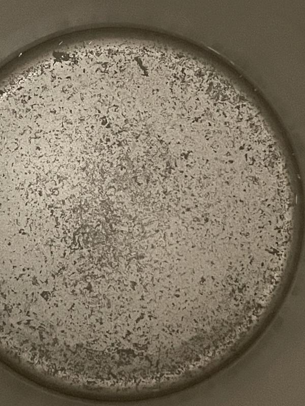 Review Thumbnail Image 2 256961216