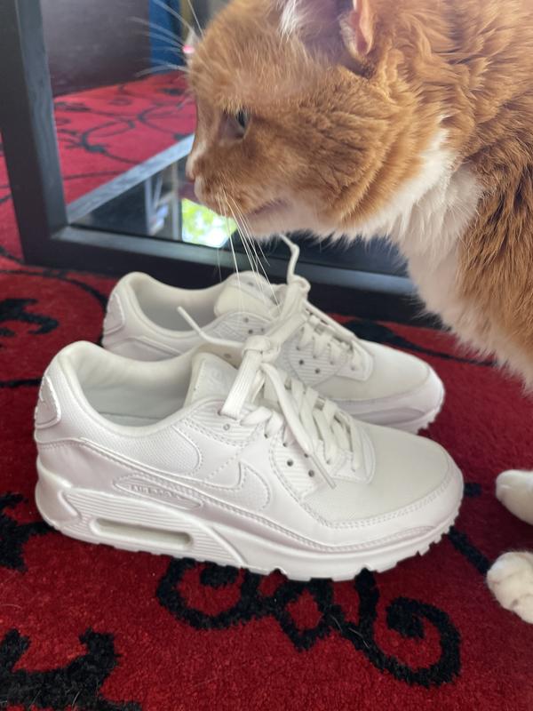 Even my cat loves them 😂