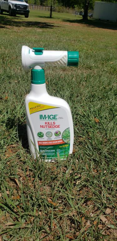 IMAGE Kills Nutsedge Ready to Spray