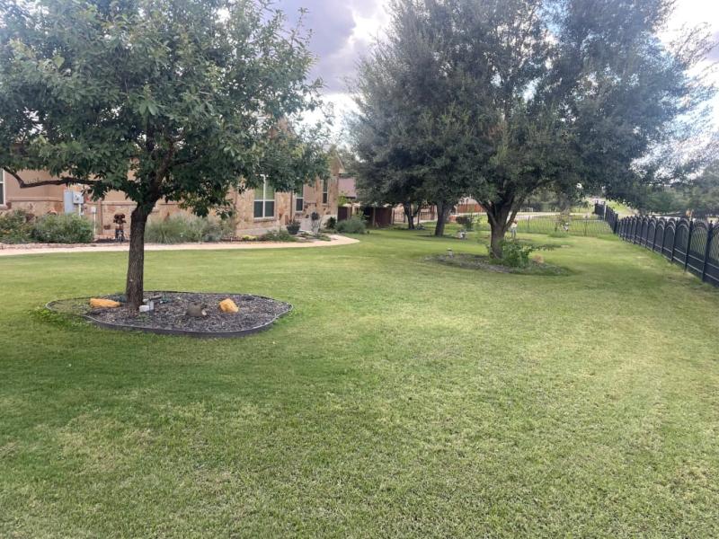 Love my front yard again!