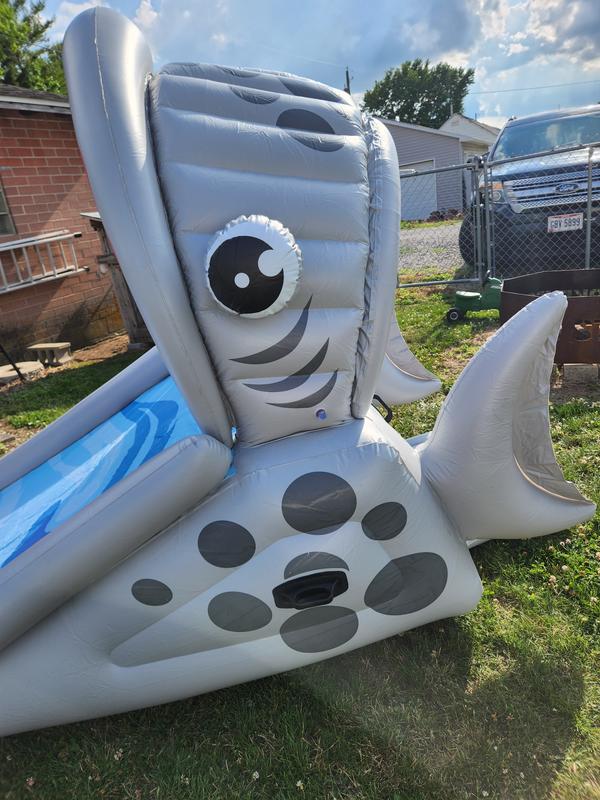 Side view of shark mouth