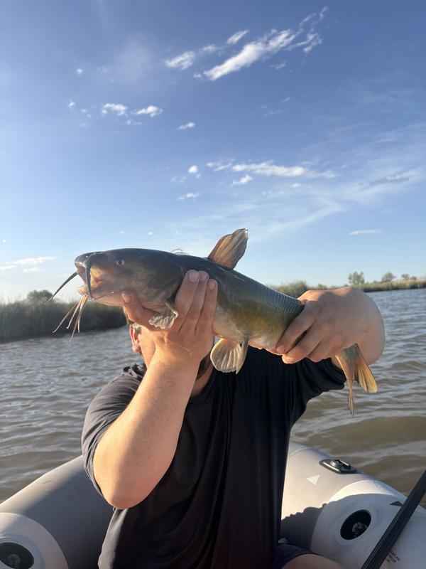 Said fish