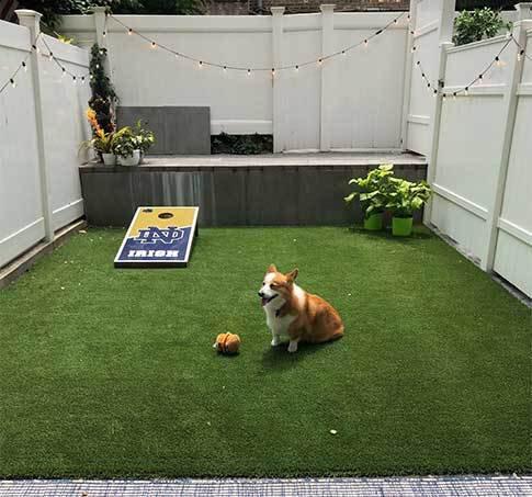 Pet Turf Rolls Realistic Easy-Clean Artificial Grass for Dogs