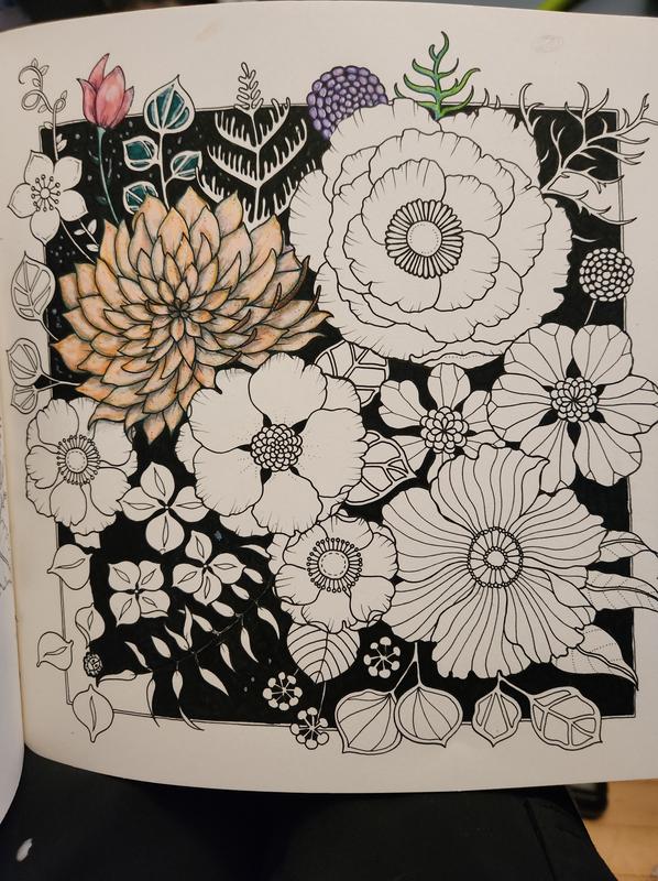 World of Flowers: A Coloring Book and Floral Adventure (Paperback