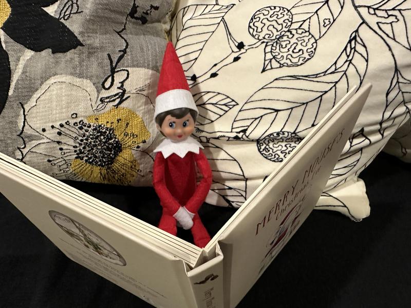 The Elf on the Shelf Box Set