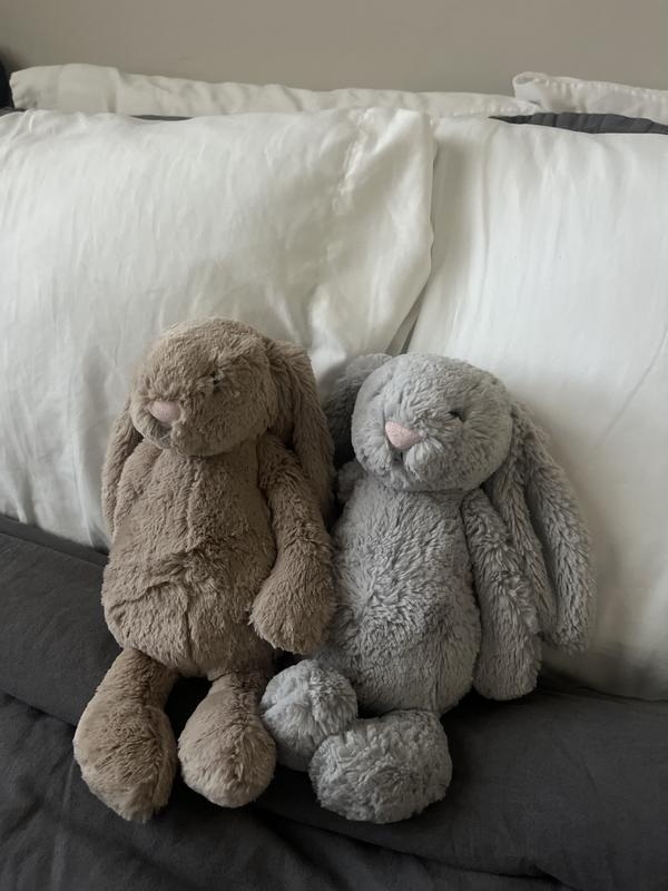  Medium Silver Bashful Bunnyグレー Bashful Silver Bunny - Official Jellycat