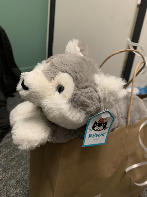 Jellycat husky store