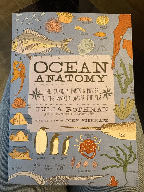 Ocean Anatomy: The Curious Parts & Pieces Of The World Under