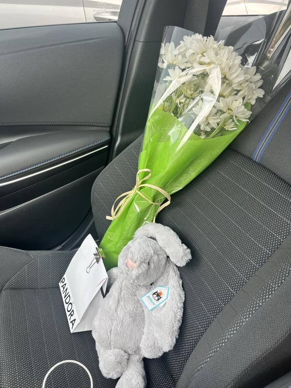  Medium Silver Bashful Bunnyグレー Bashful Bunny Silver - Medium – littlewhimsy