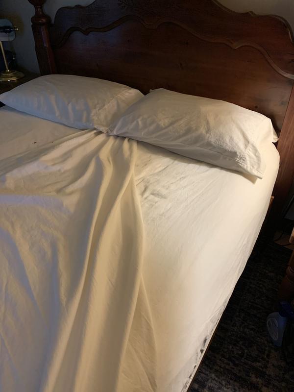 Nestwell™ Cotton Sateen 400ThreadCount Standard Pillowcases in Bright