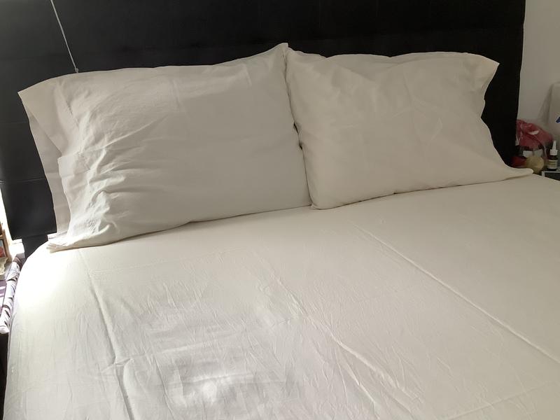 Nestwell™ Cotton Sateen 400ThreadCount Standard Pillowcases in Bright