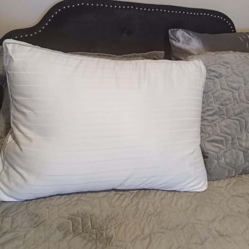 Nestwell™ Egyptian Cotton 625Thread Count Firm Support Bed Pillow