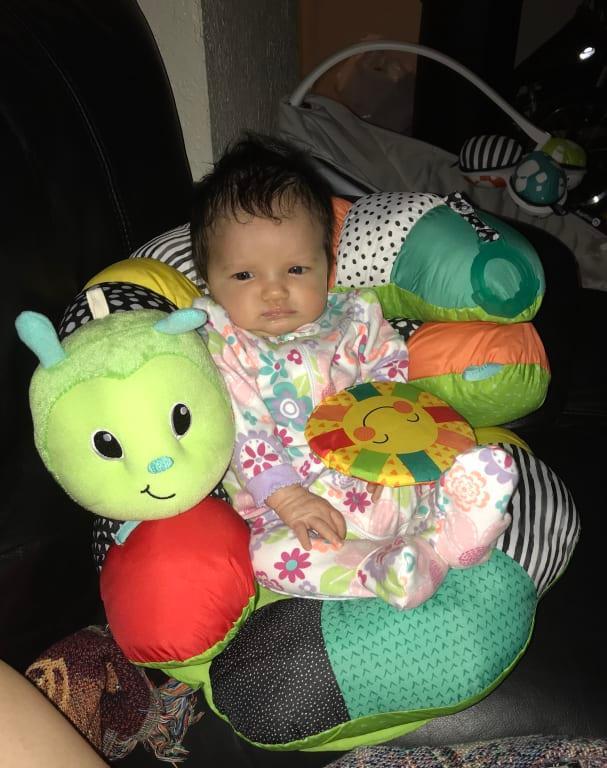 infantino caterpillar pillow