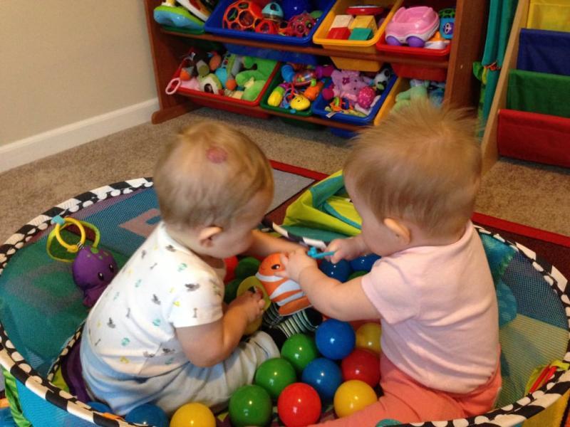 infantino turtle ball pit gym