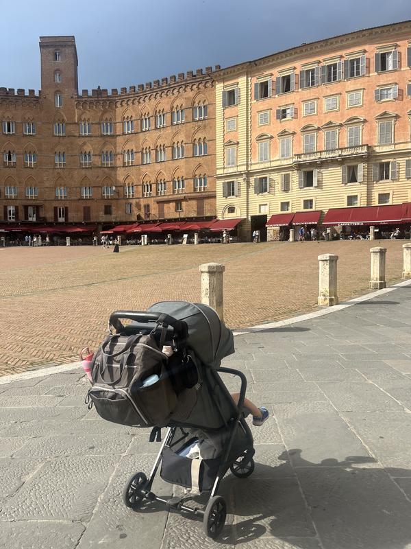Customer photo for "Great lightweight stroller for internation travel"