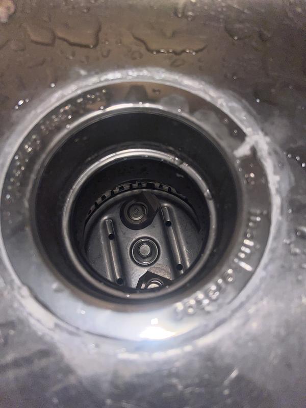 Photo - commentaire 2.