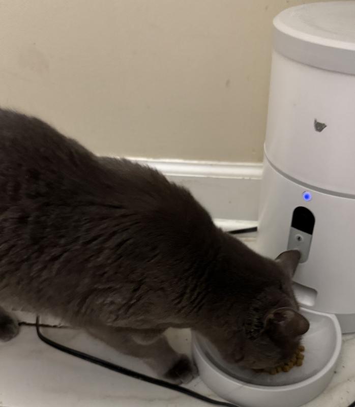 Nina having a snack.