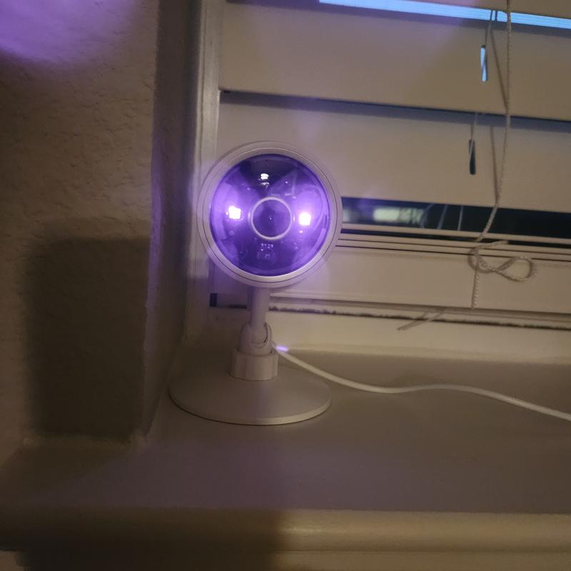 Cute at night too!