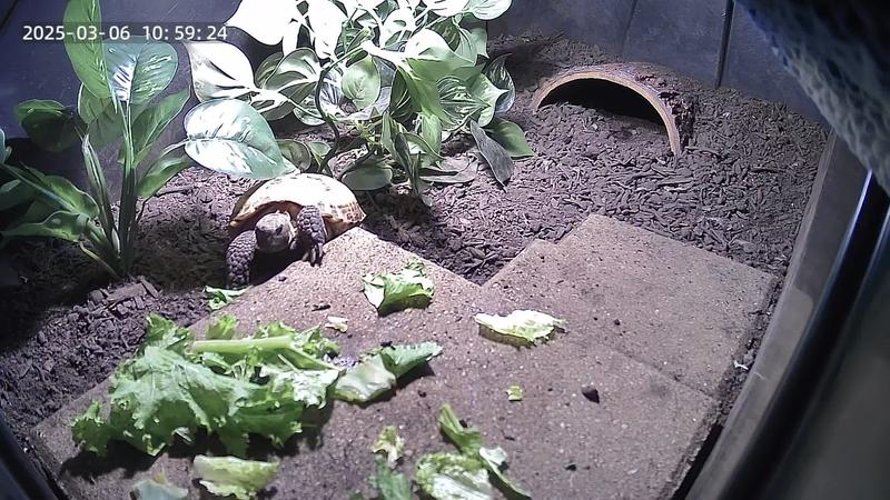 Eating time