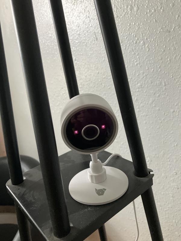 New cam