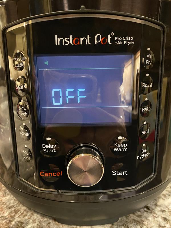 Instant Pot Pro Crisp Pressure Cooker & Air Fryer Review