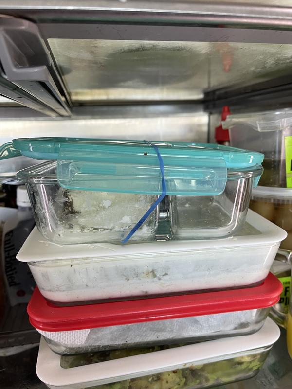  Bento Boxes, Pyrex, 3.4 Quart Bento Box, 10 Piece Mealbox Kit, Tempered Glass Divided Storage Containers