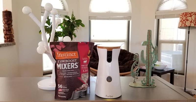 Furbo + Mixers = Perfection!