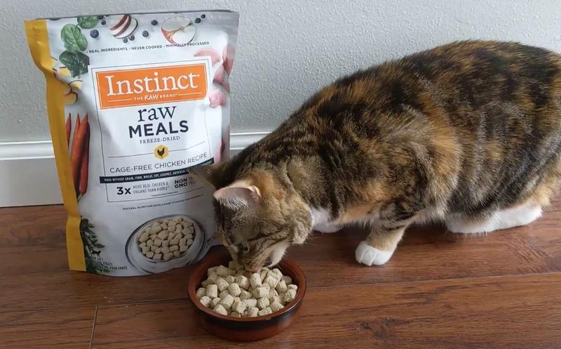 Instinct dry hotsell cat food