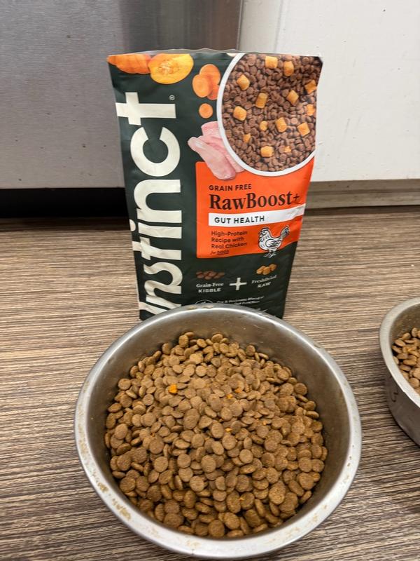 black mold on lid of royal canine dog food Crocodilia Dry for Dogs main image 1
