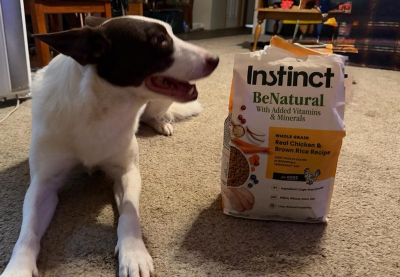 agway wellness dog food Hill's Science Diet Adult Perfect Weight Dog Food - Endicott, NY - Owego,  NY