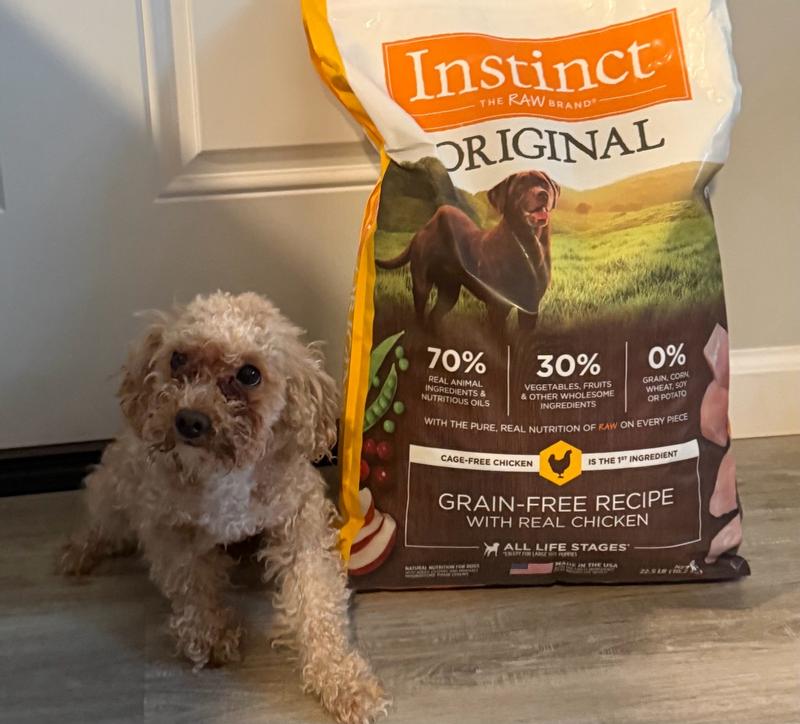 nassfutter sensible hunde PURE GOURMET Schnupperpaket