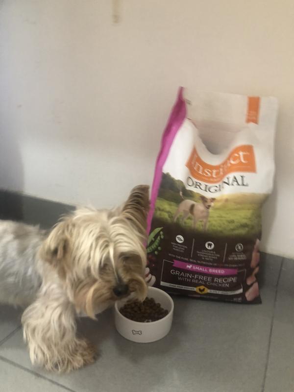 Instinct original small breed dog food sale