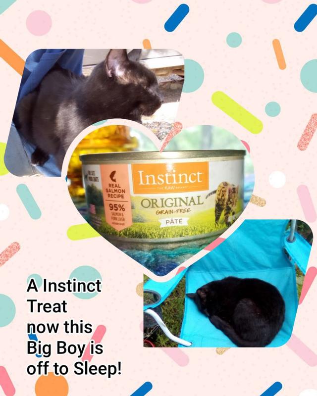 Instinct original grain free cat fashion food