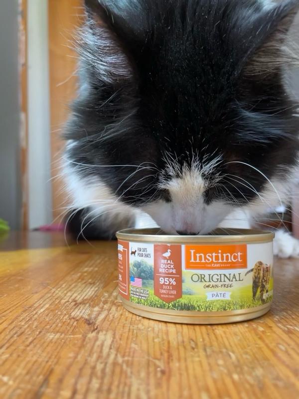 Original Duck Wet Cat Food Instinct Pet Food