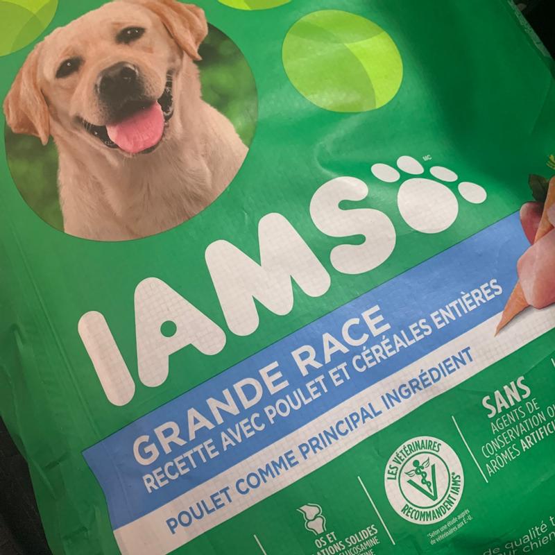 IAMS PROACTIVE HEALTH Adult Large Breed Dry Dog Food with Real