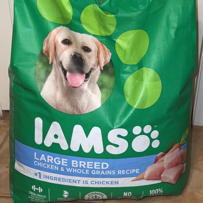 Iams proactive health adult large breed dry dog food best sale