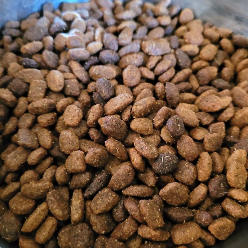 Photo - commentaire&nbsp;4.