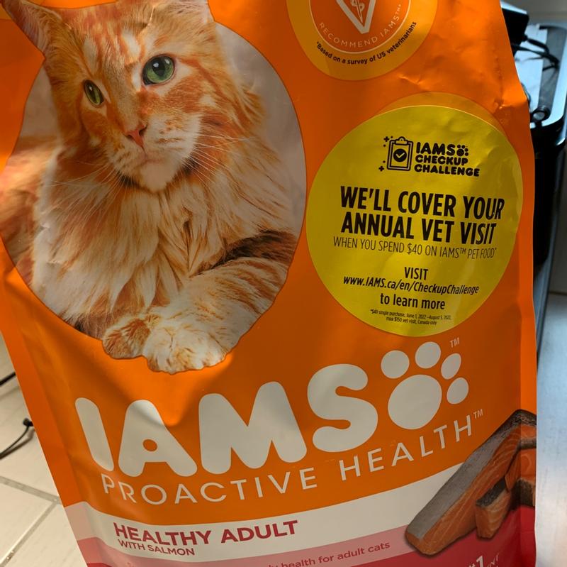 Iams salmon cat food best sale