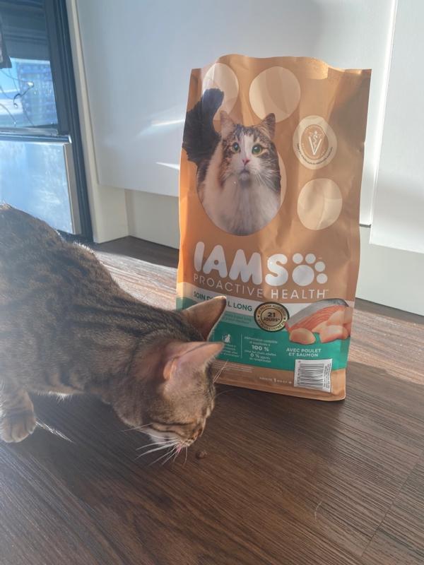 IAMS PROACTIVE HEALTH Adult Long Hair Care Dry Cat Food with Chicken Salmon