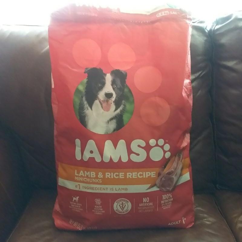 Photo - commentaire&nbsp;8.