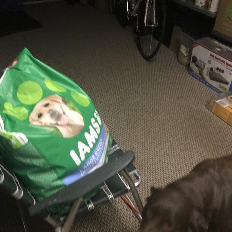 Meijer iams clearance dog food