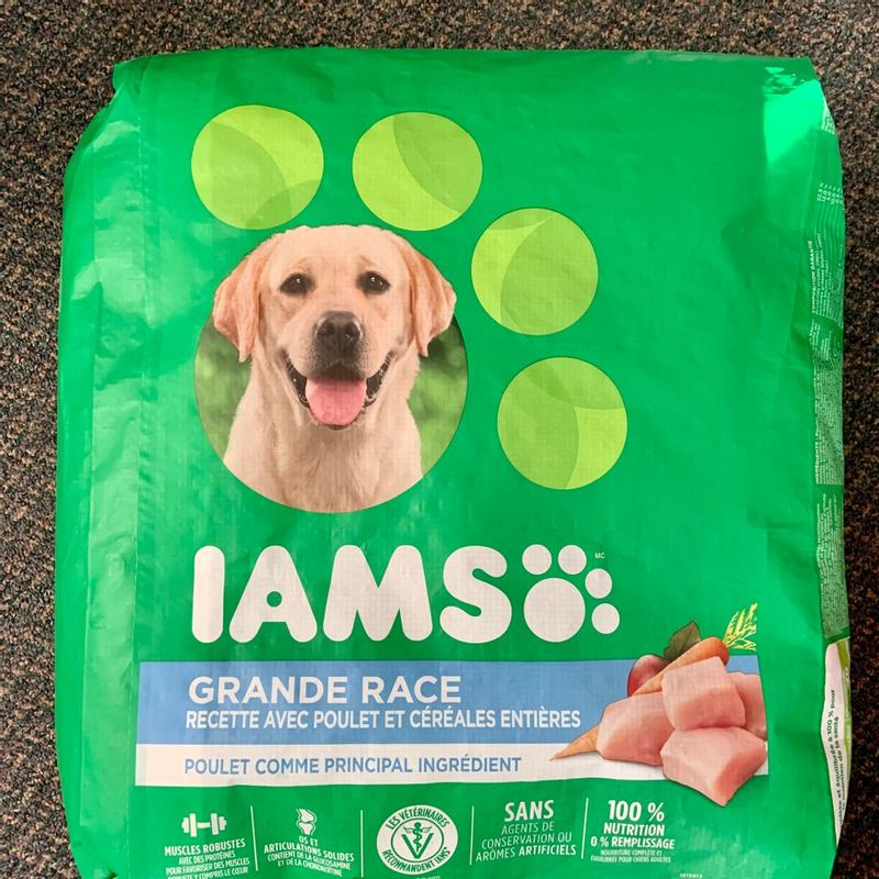 Iams large breed store dog food walmart