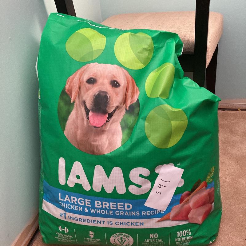 Walmart iams hot sale large breed