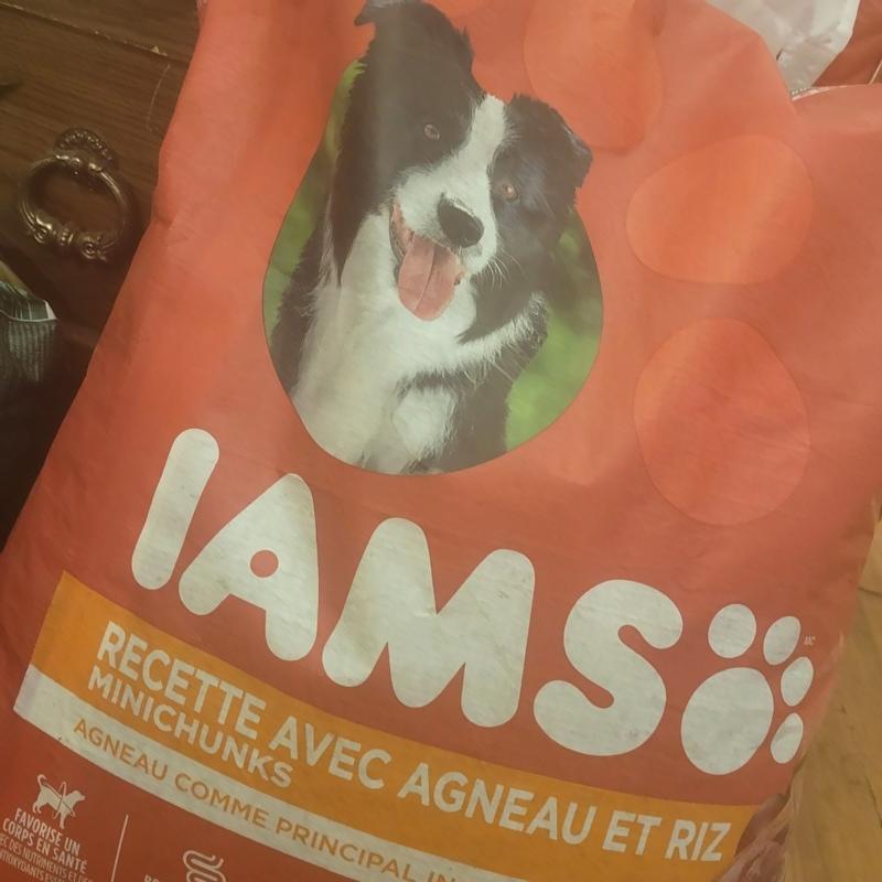 Photo - commentaire&nbsp;6.