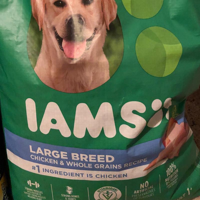 Iams large breed shop review