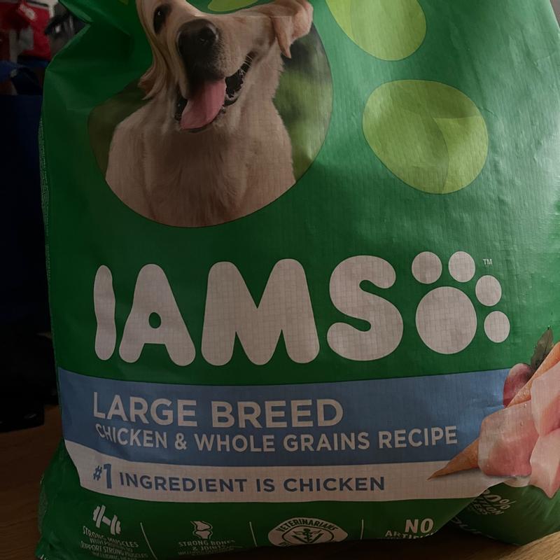 Iams large breed outlet review