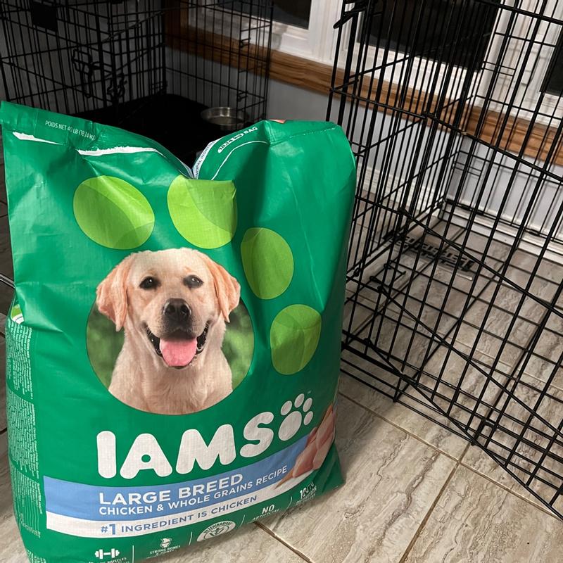 IAMS PROACTIVE HEALTH Adult Large Breed Dry Dog Food with Real