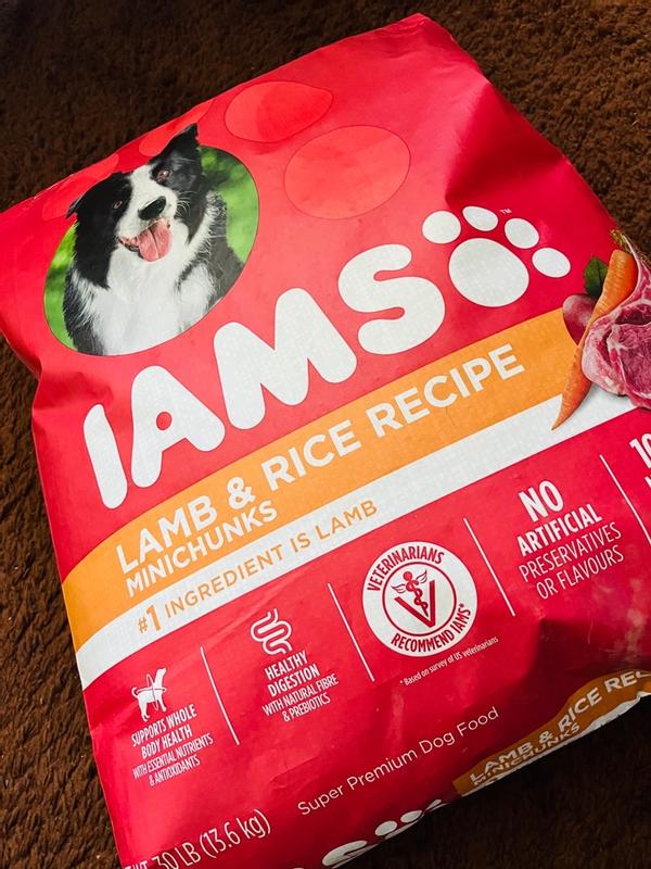 Photo - commentaire&nbsp;2.