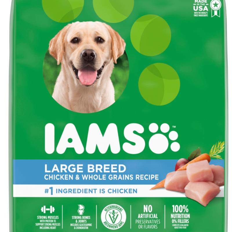 Iams senior outlet dog food review