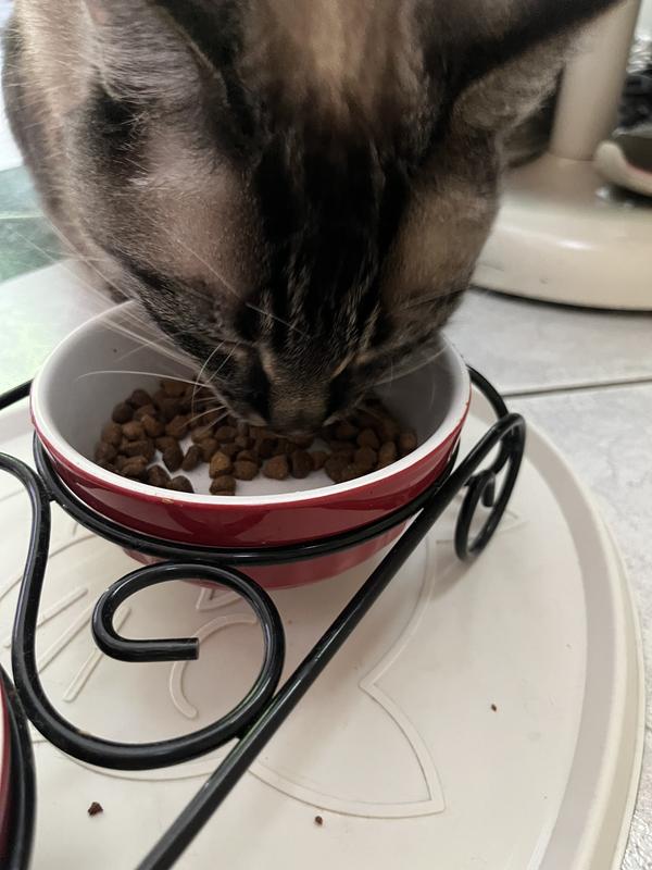 Good till it’s gone